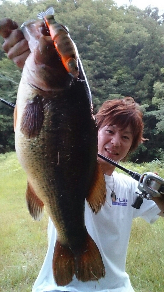 ブログ0622c