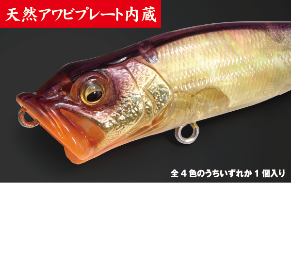 POPX ABALONE NC（ネオンコア）カラー