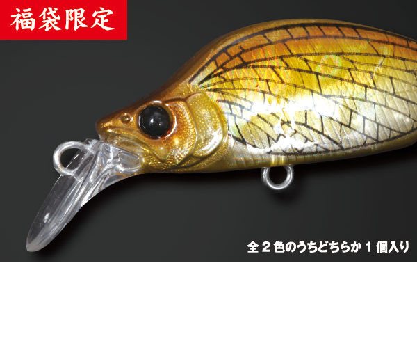 GH44 BAT A FRY カゲロウカラー