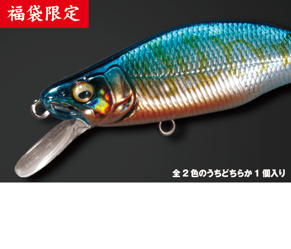 GH51 HUMPBACK(FS) トンギョカラー