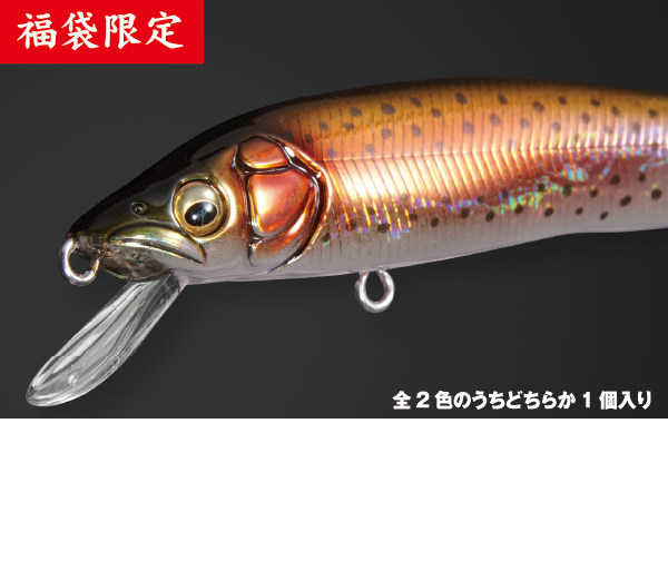 GH95 ワイルドトラウトカラー