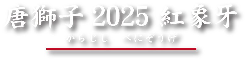 唐獅子2025 紅象牙（からじし　べにぞうげ）