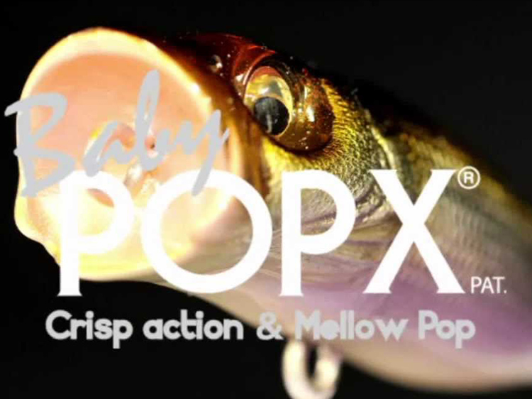 BABY POPX | Megabass-メガバス