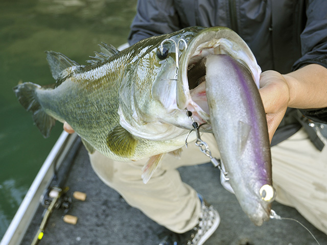 Magdraft Megabass メガバス