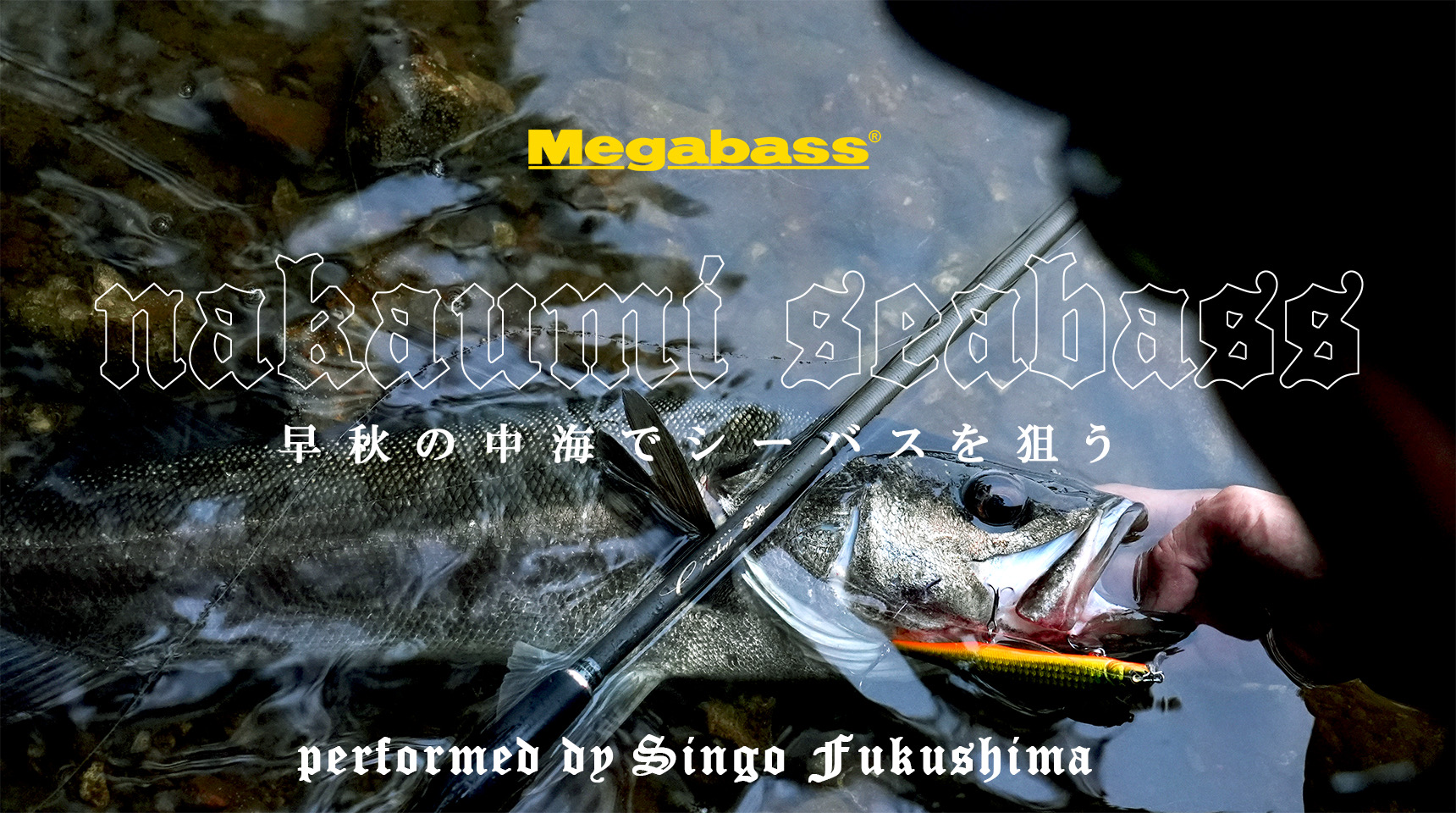 CK-92MLS | Megabass-メガバス